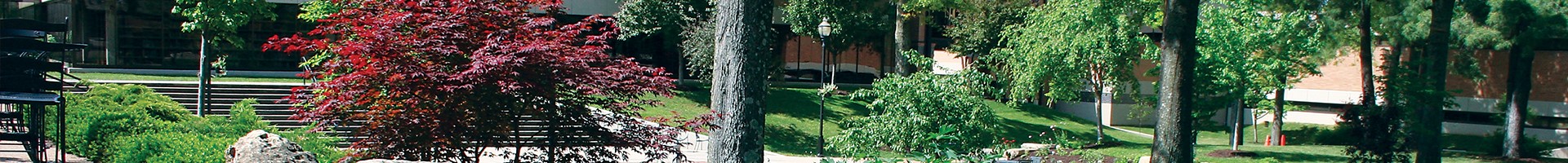 Indian Super League Live Today